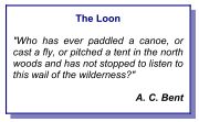 "The Loon"